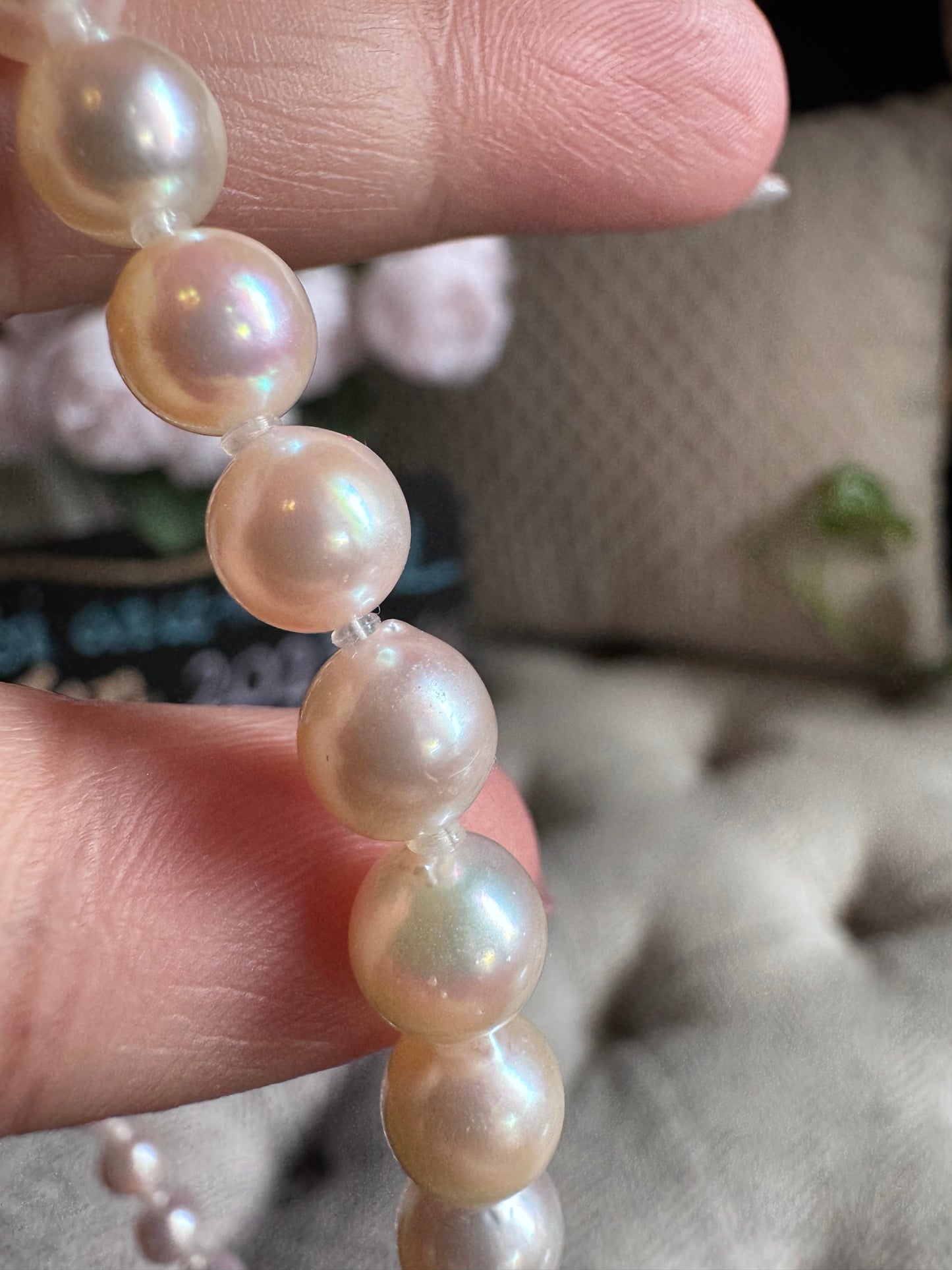 Akoya Pearl Necklace