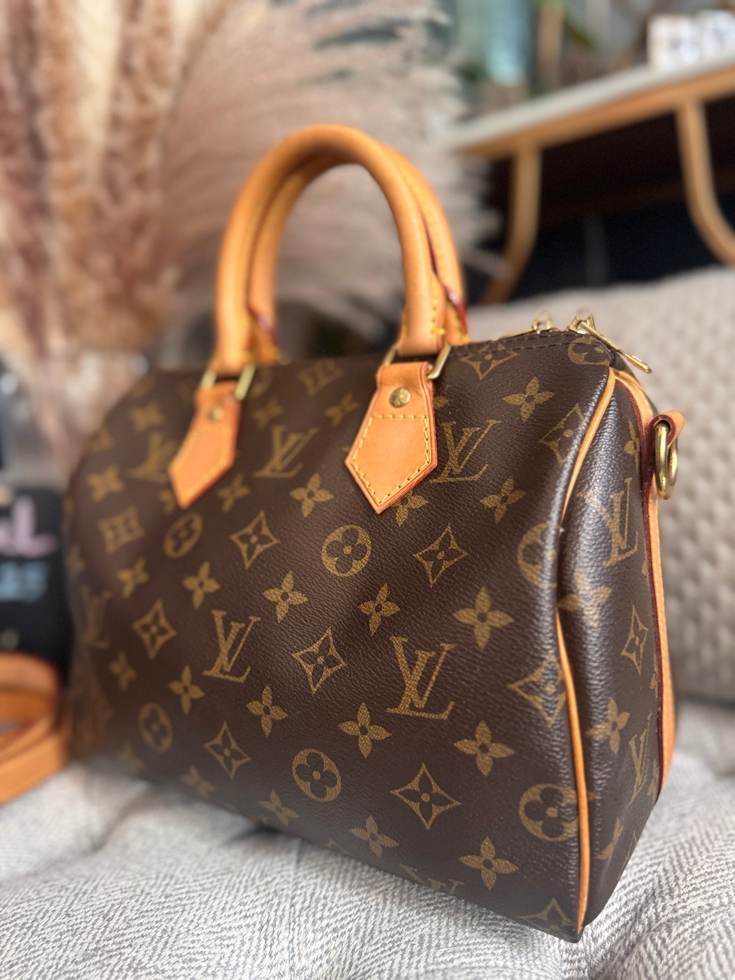 Louis Vuitton Speedy B 25 in monogram