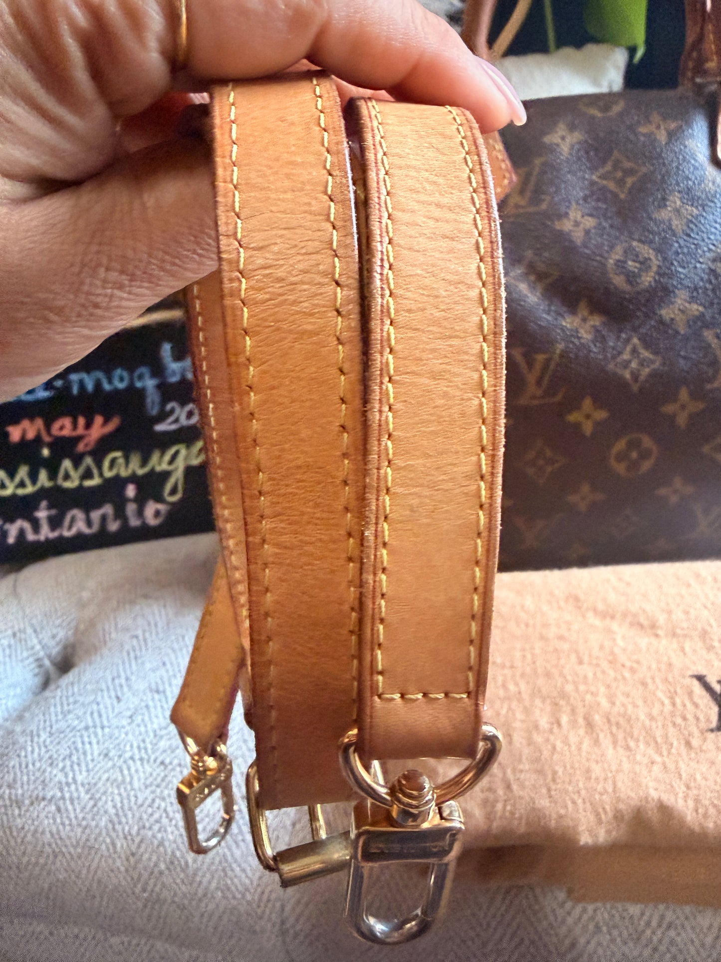 Louis Vuitton Speedy B30 in Monogram