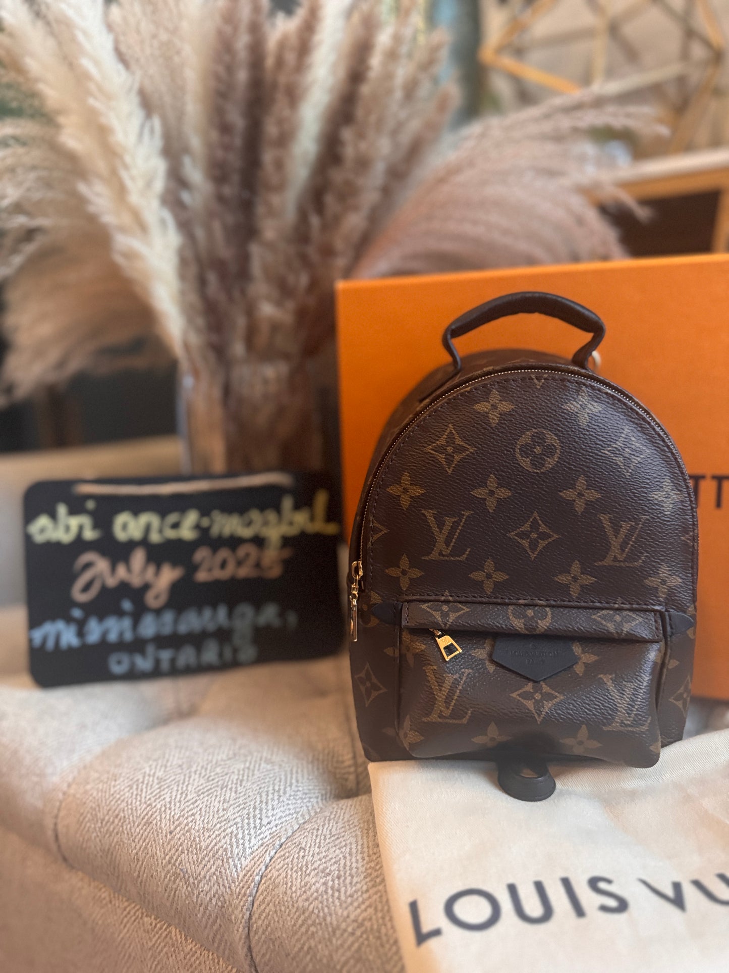 Louis Vuitton Mini Palm Springs-New Model with exposed zip Microchipped