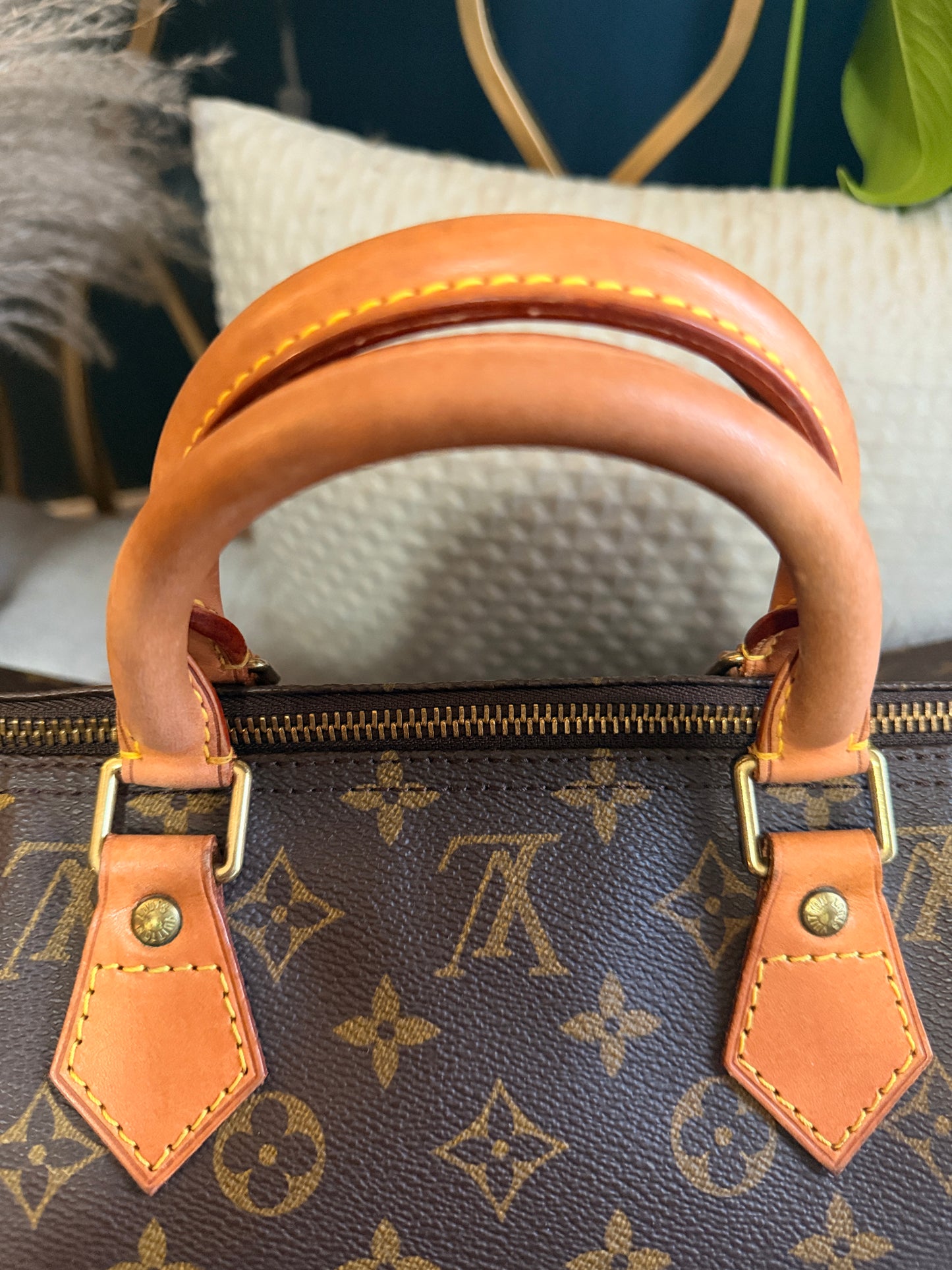 Louis Vuitton Speedy 40 in Monogram