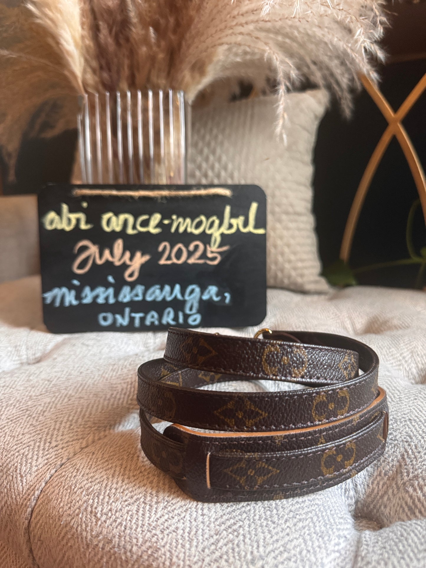 Louis Vuitton Vintage Monogram Strap