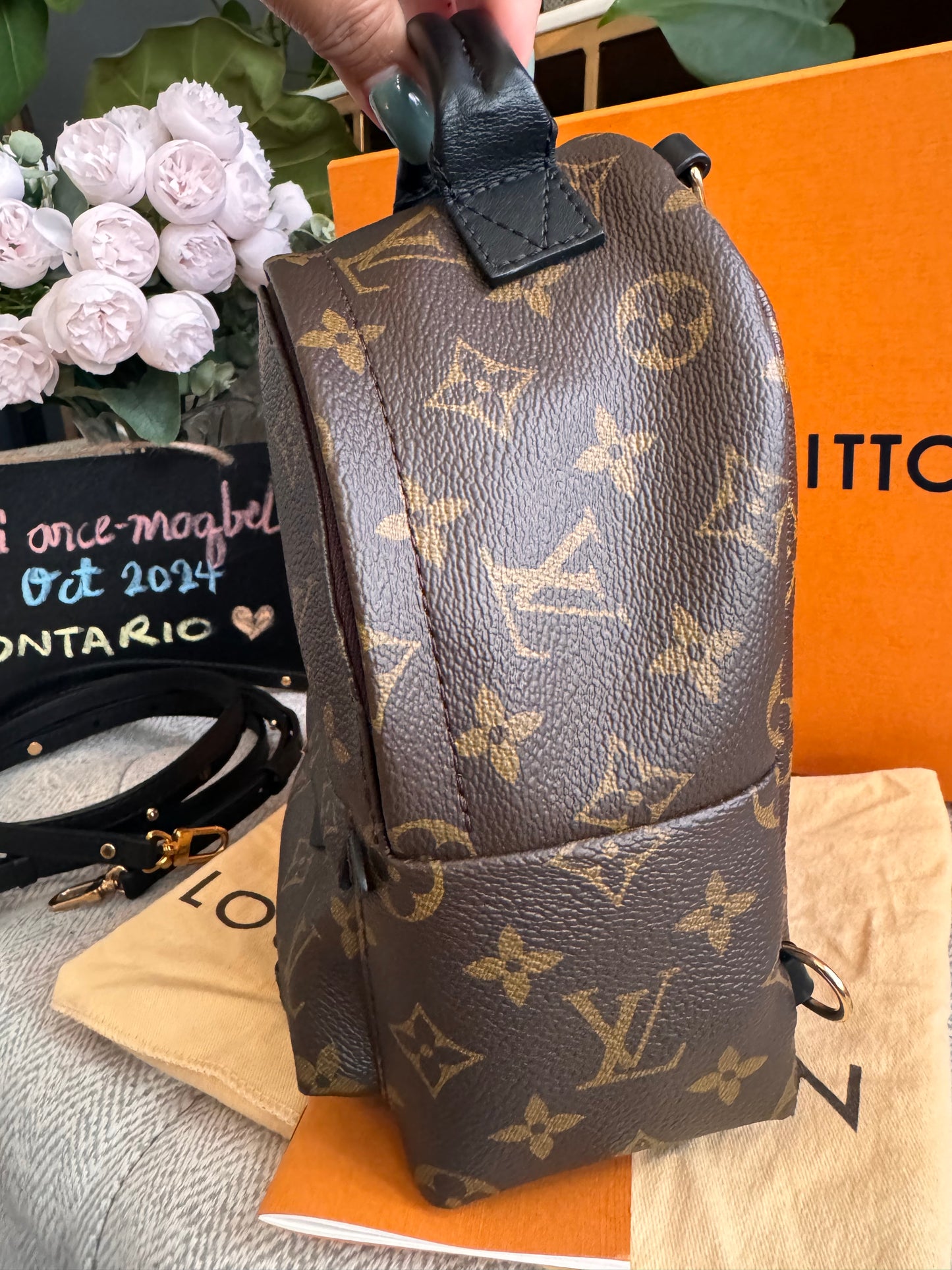 Louis Vuitton Palm Springs Mini