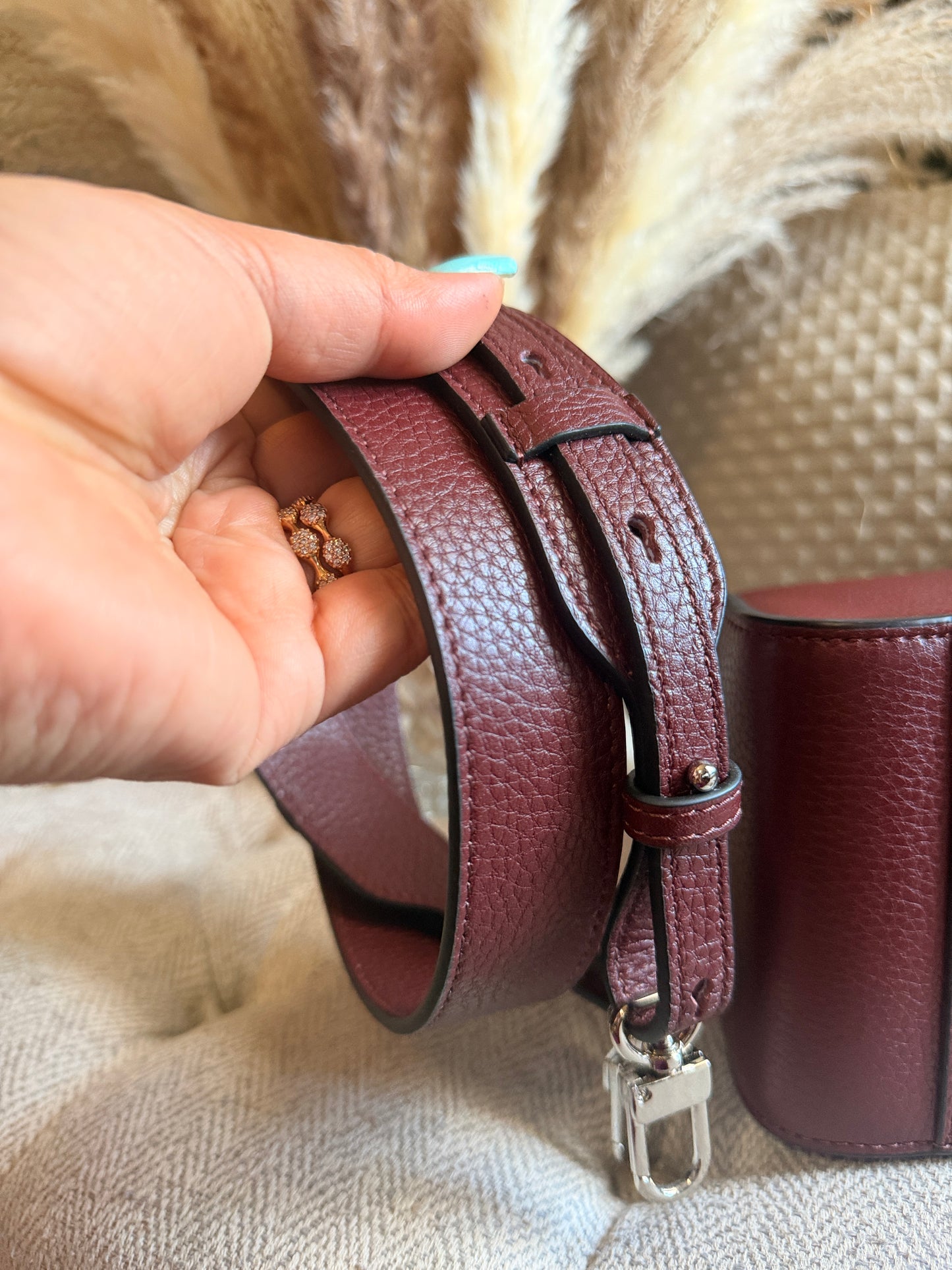 The Horse Clementine in Burgundy