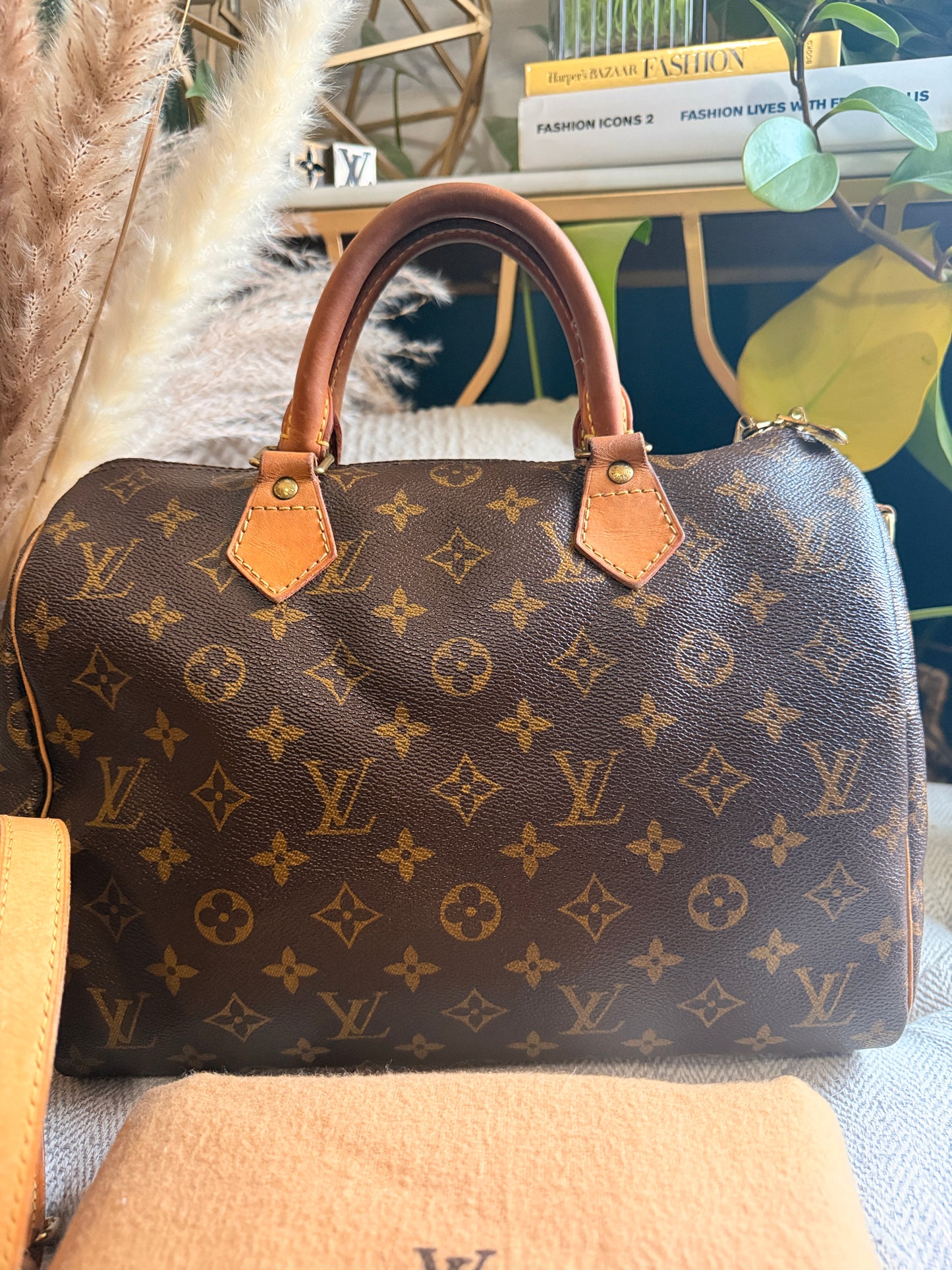 Louis Vuitton Speedy B30 in Monogram
