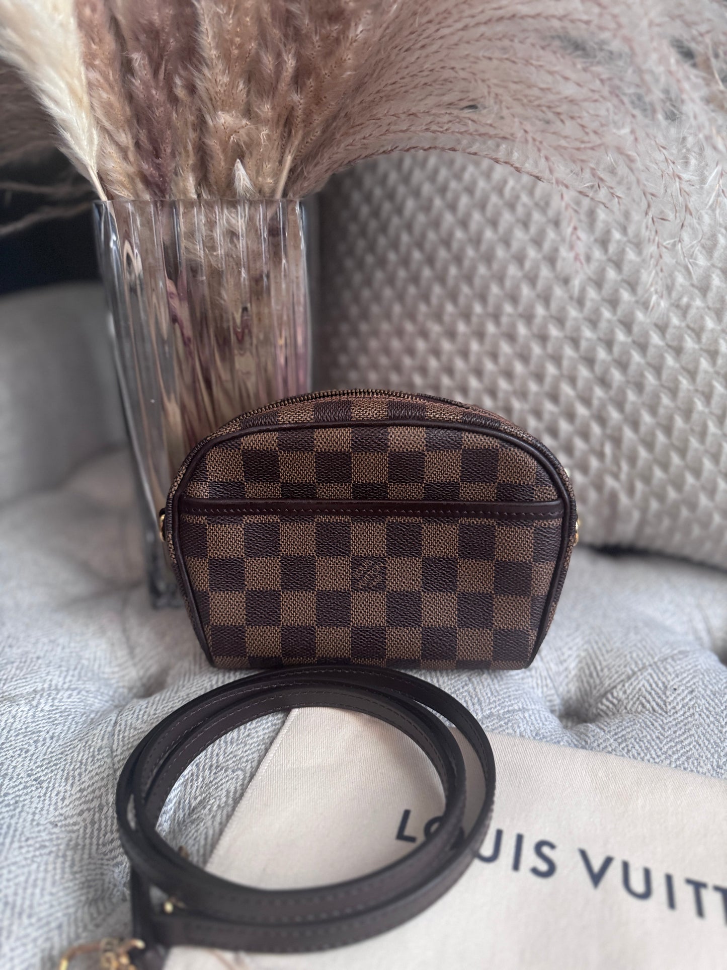 Louis Vuitton Damier Ebene Ipanema Pouch