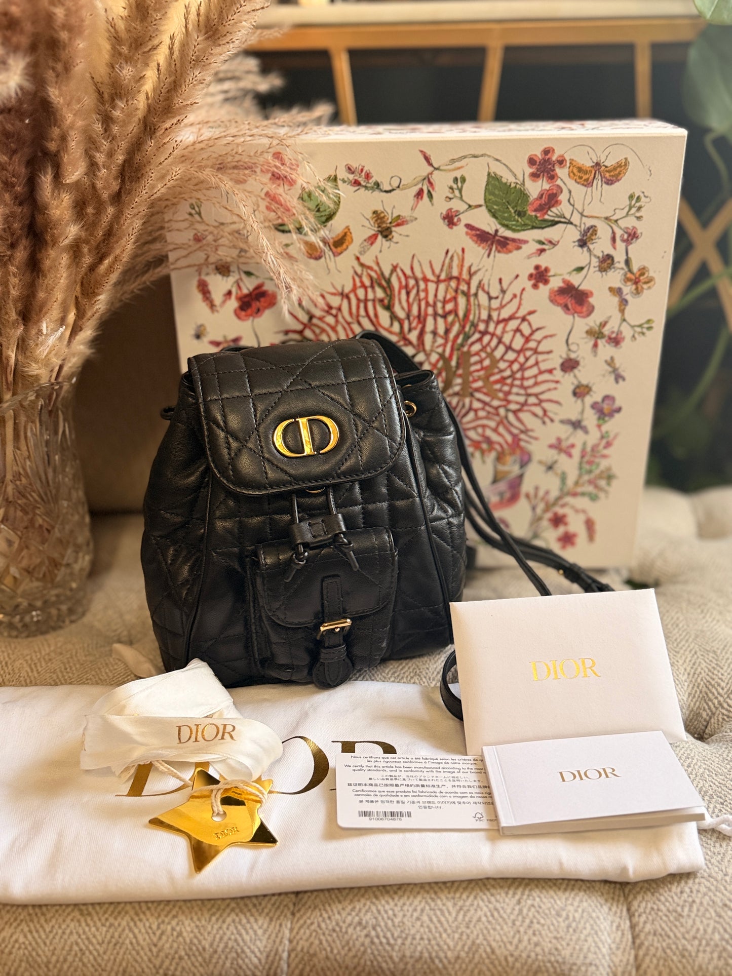 Dior Caro Macrocannage Backpack in Classic black