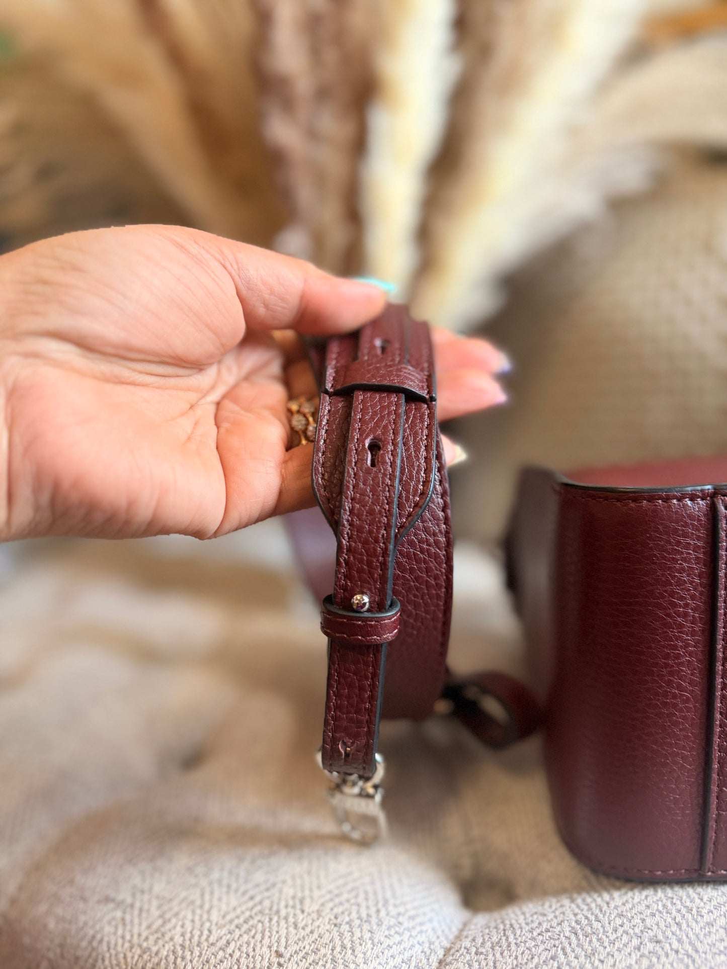 The Horse Clementine in Burgundy