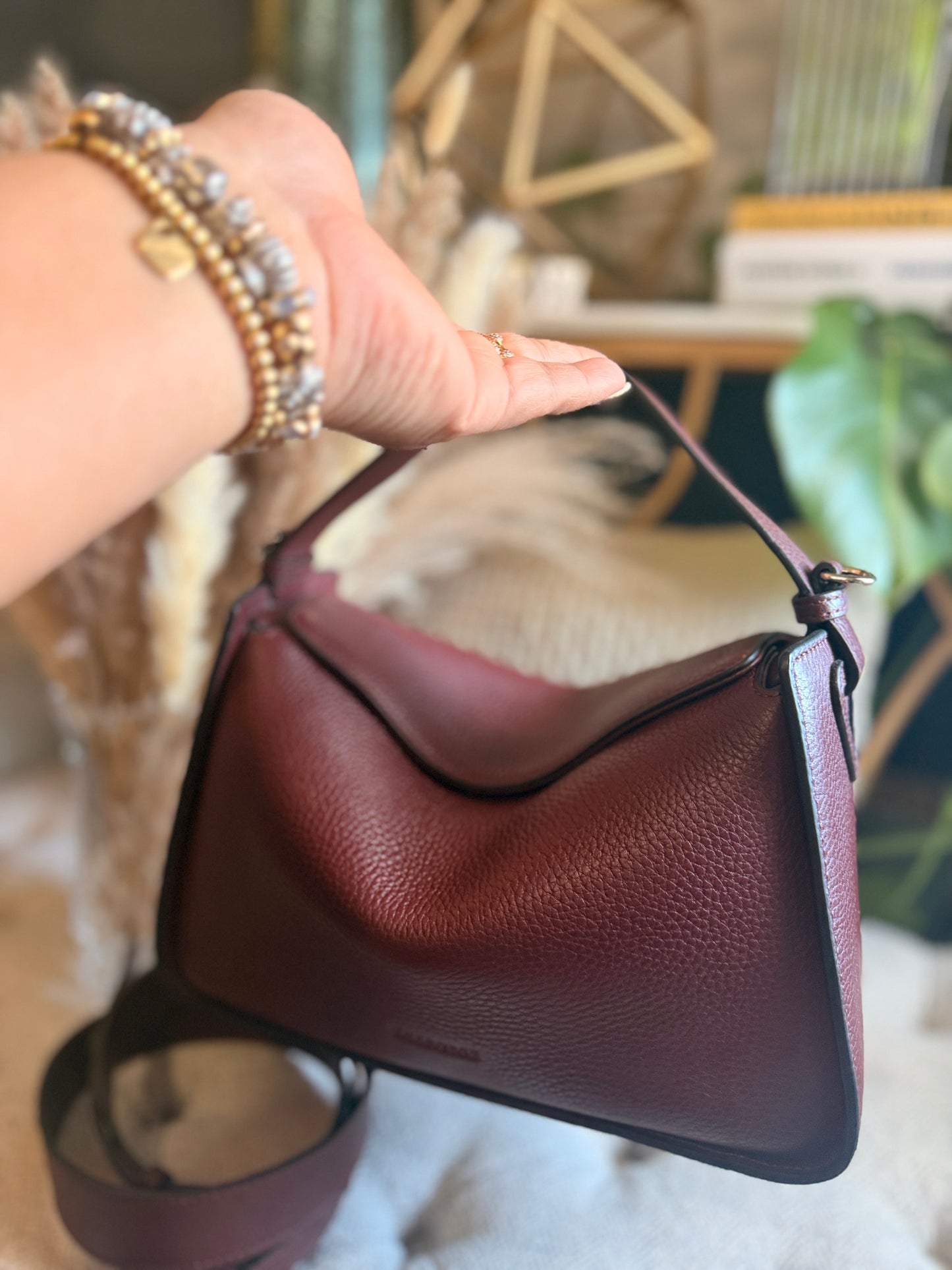 The Horse Clementine in Burgundy