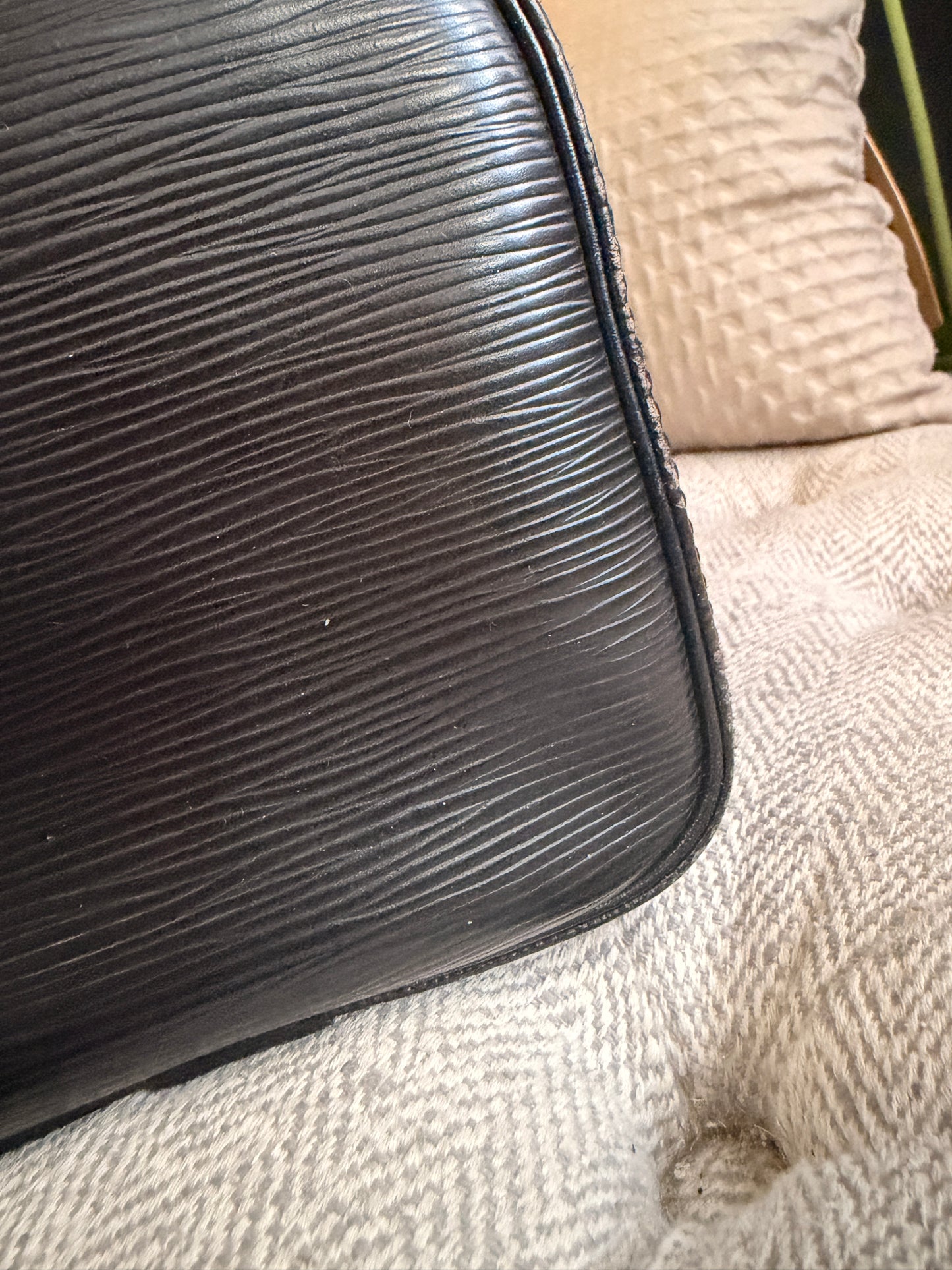 Louis Vuitton Speedy 25 in Epi Noir