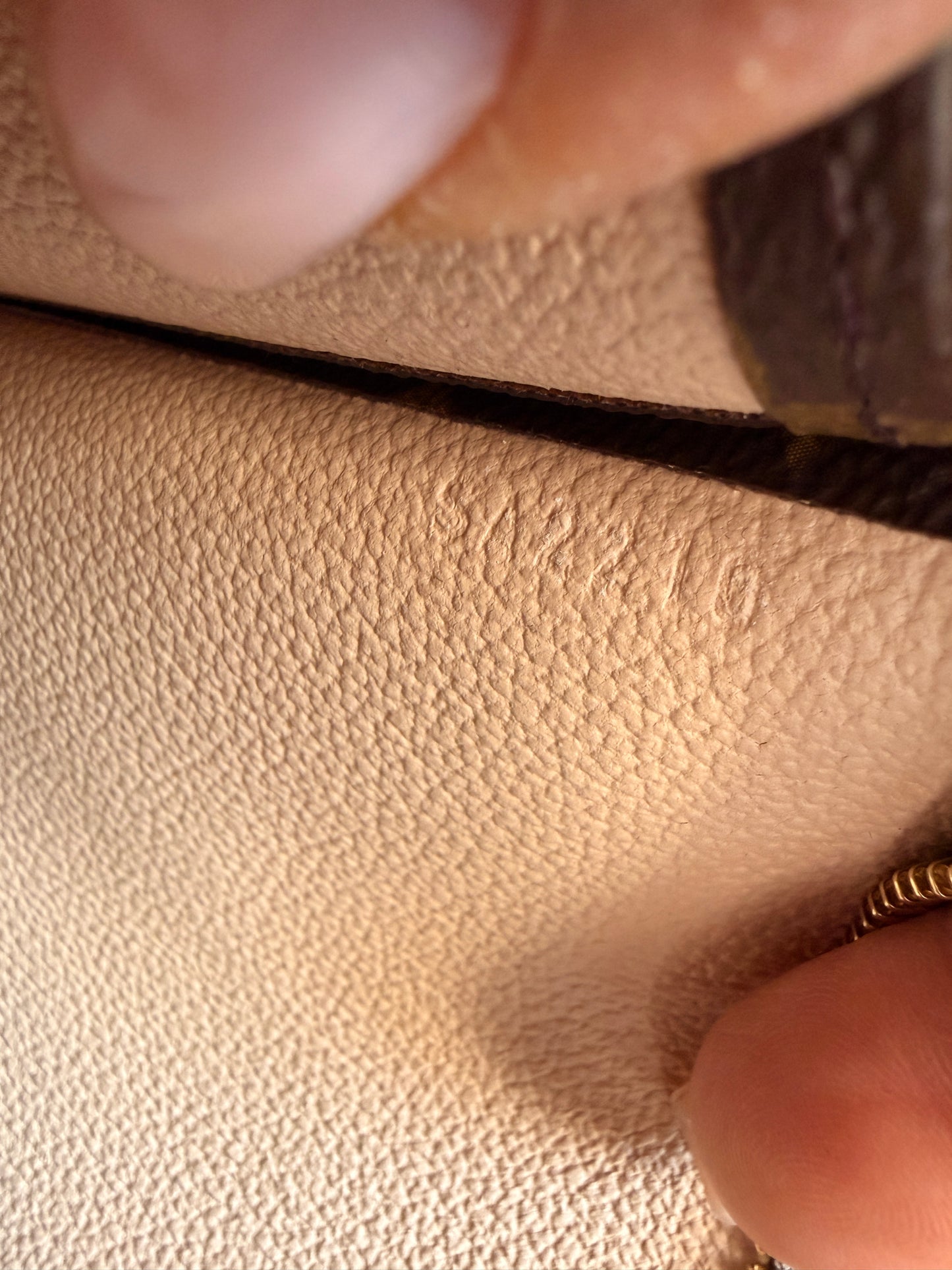 Louis Vuitton Poche Toilette GM