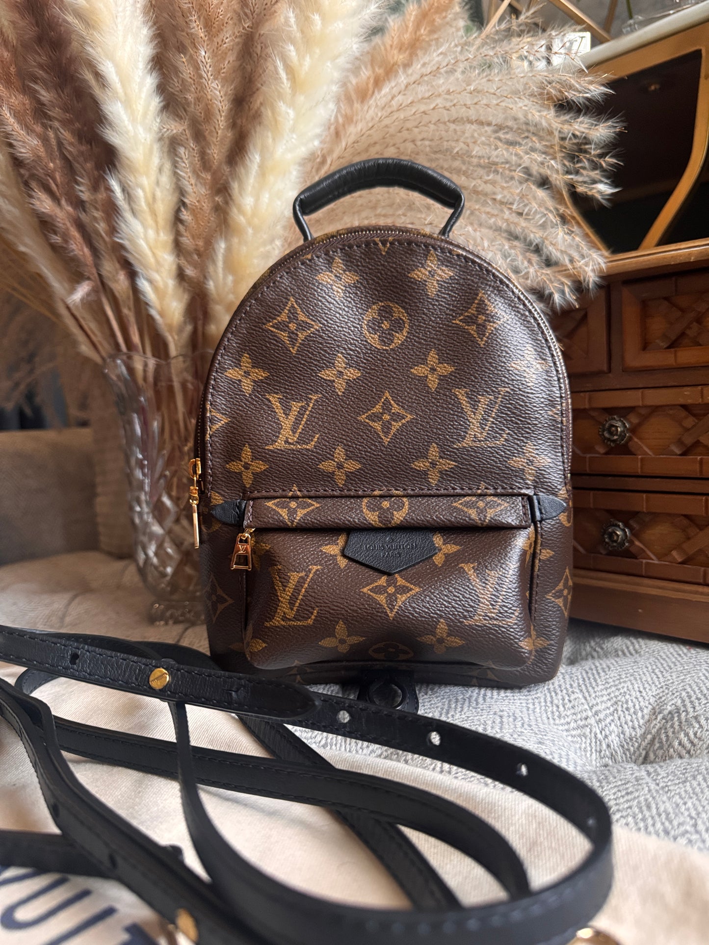 Louis Vuitton Palm Springs Mini-New Version