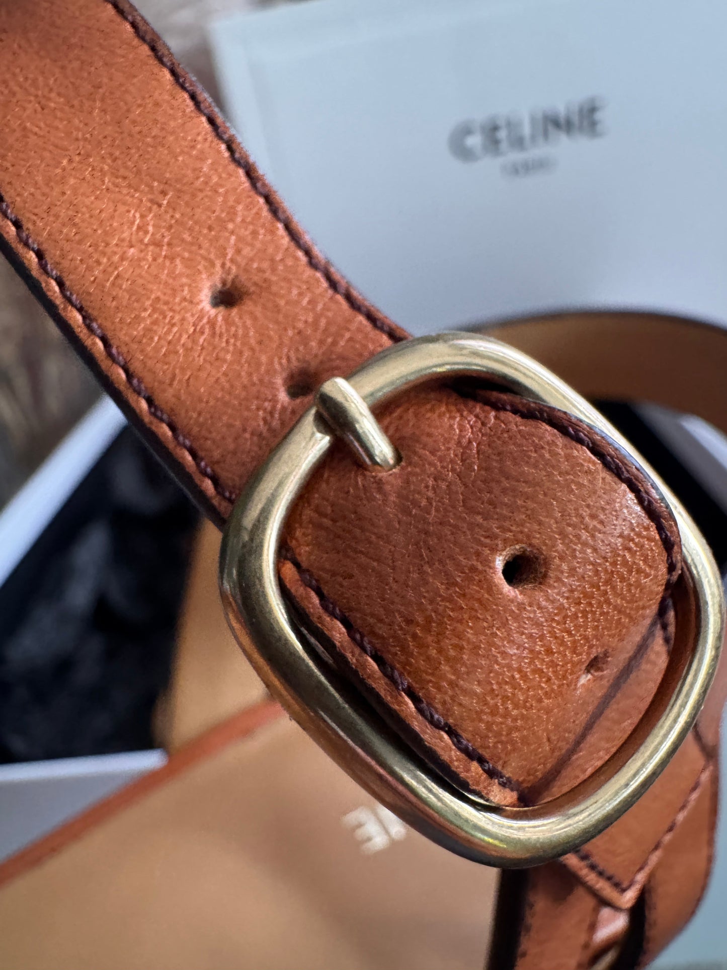 CELINE Triomphe Platform Leather Wedge Sandals