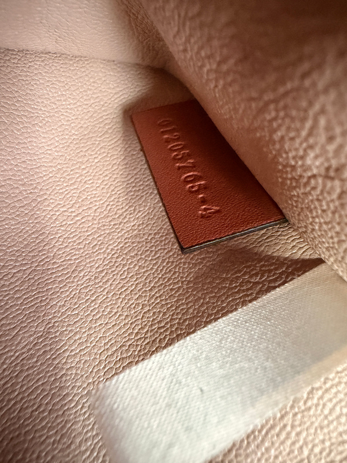 Chloe Aby Chain Bag -Croc Embossed