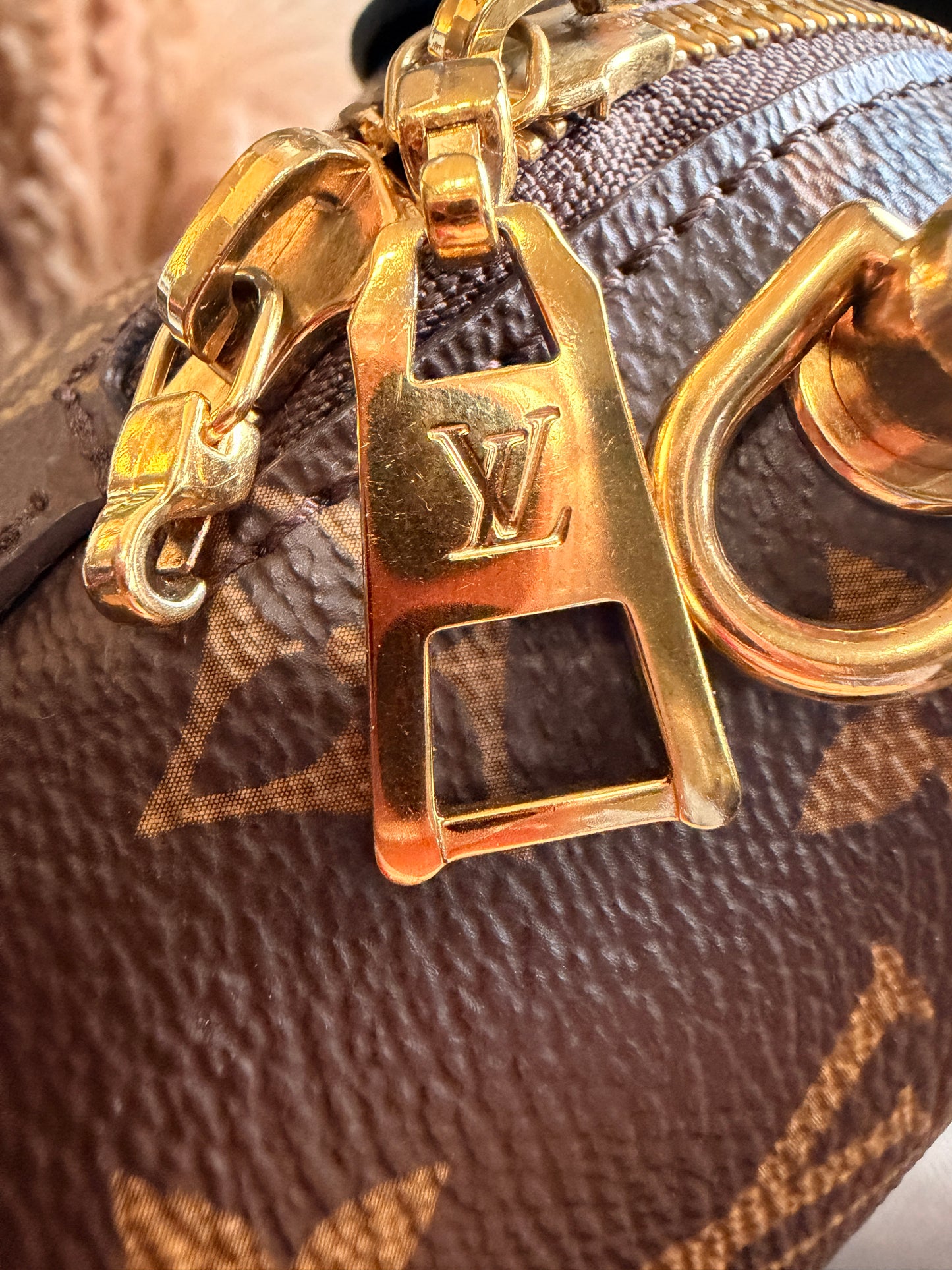 Louis Vuitton Petit Malle Souple