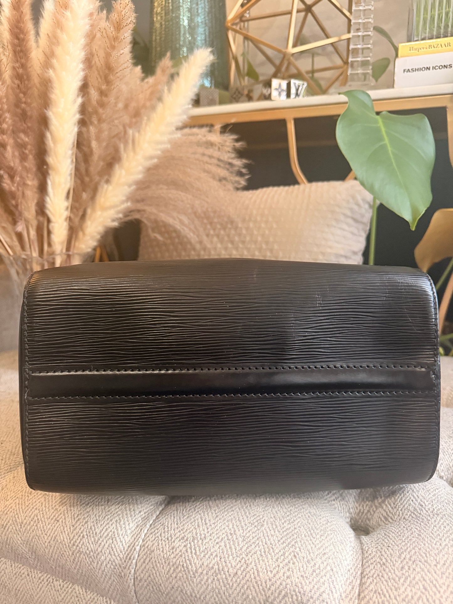 Louis Vuitton Speedy 25 in Epi Noir