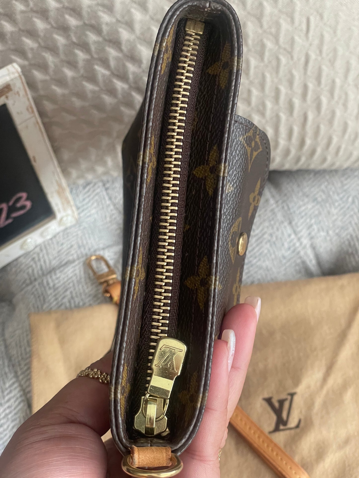 Louis Vuitton Partition wristlet/clutch